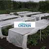 20gsm Sss Super Cotton Nonwoven Fabric Production